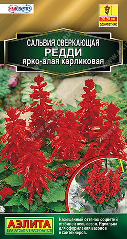 Сальвия Редди ярко-алая карликовая (2029)