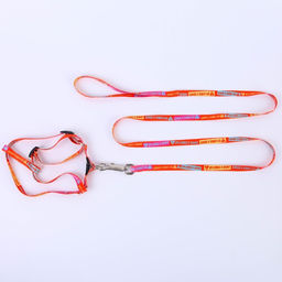 Комплект Дикий и пушистый, шлейка 24-36 см, поводок 120х1 см - Пушистое счастье фото 3