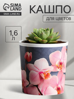 Кашпо для цветов «Орхидея», 1.6 л, d=14 см, h=14 см, пластиковое