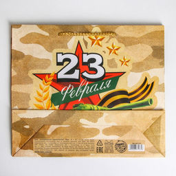 Цена за 2 шт. Пакет подарочный ламинированный, упаковка, С 23 февраля, ML 25?21?8 см