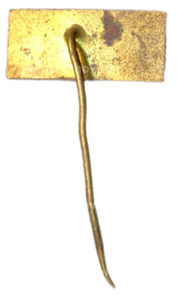 Значок рекламный CKD PHARA POLOVIDICE