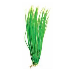 Растение Plant 007 Акорус зелёный 30 см PLANT 007/30