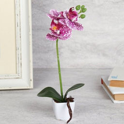 Цветочная композиция Орхидея 29 см / LM-1785 /уп 12/144/ - Галеонтрейд фото 6