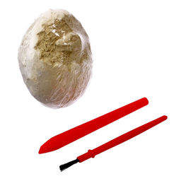 Раскопки «Эра динозавров»