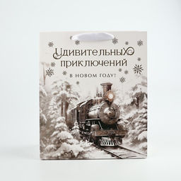 Пакет подарочный новогодний ламинированный «Приключений в новом году», тиснение, ML 23×27×11.5 см