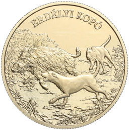 3000 форинтов 2023 года Венгрия Трансильванская гончая