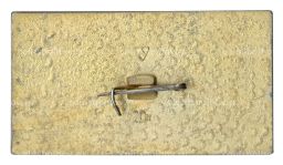 Значок Владимир