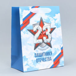 Цена за 2 шт. Пакет подарочный ламинированный, упаковка, «С 23 февраля», MS 18×23×10 см
