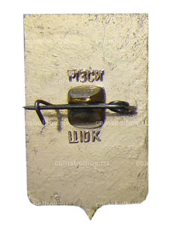 Значок Копейск