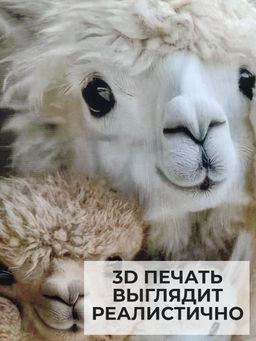 Наволочка декоративная Альпака 4