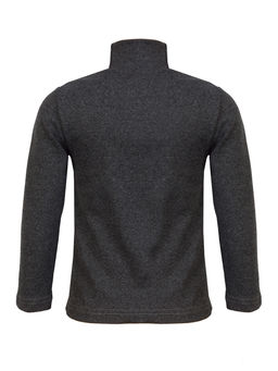 Джемперводолазка серая