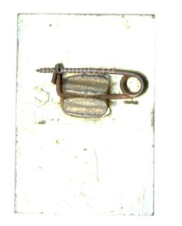 Значок Теберда