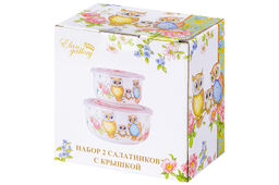 Набор 2 салатников - 13*13*6,5 см 560 мл+10,5*10,5*6 см 260 мл Совушки с плас.крыш. NEW BONE CHINA - Elan gallery фото 13