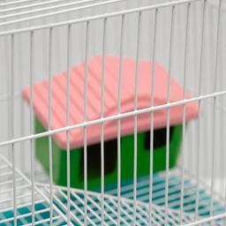 Клетка для грызунов Пижон №3, с 2-я этажами, укомплектованная, 33 х 24 х 28 см, бирюзовая  фото 4