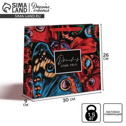 Пакет подарочный ламинированный, упаковка, Dreams come true, M 26 х 30 х 9 см