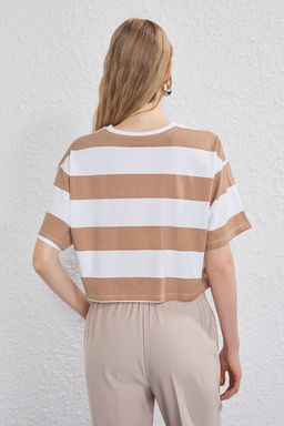 Kahverengi Cizgili Kal?n Pamuklu Bisiklet Yaka Loose Crop/Rahat K?sa Orme T-Shirt TWOSS25TS00193