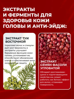 KANS Шампунь для волос восстановление сухих и ломких волос, с кератином и anti-age пептидами, 500 г  фото 5