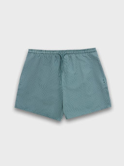 Плавательные шорты мужские в полоску