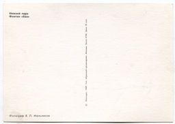 Открытка Петродворец  Нижний парк. Фонтан Ева