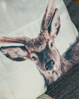 Декоративная наволочка ANG016