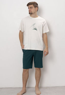 ШОРТЫ МУЖСКИЕ арт. 6523M-45041.4H-718