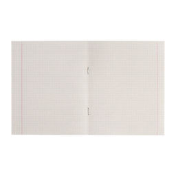 Набор тетрадей 24 листа в клетку КПК Зелёная обложка, серые листы, 10 шт. - Calligrata фото 3