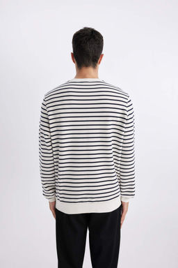 Толстовка в полоску Modern Fit с круглым вырезом - Defacto фото 5