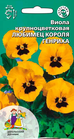 Виола ЛЮБИМЕЦ КОРОЛЯ ГЕНРИХА
