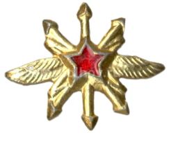 Значок Эмблема Военно  воздушные силы  техник
