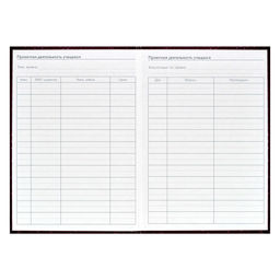 Ежегодник учителя арт. 62336 БОРДОВАЯ ФАКТУРА - Феникс+ фото 6