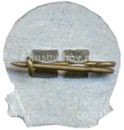 Значок Рига