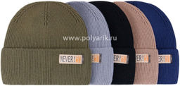 Шапка для мальчика M-04-70 (о) ассорти 373 Полярик