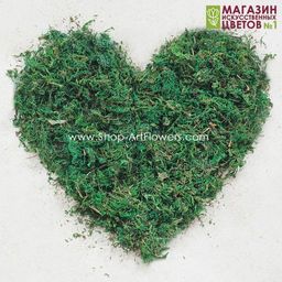 104-1 Мох россыпь