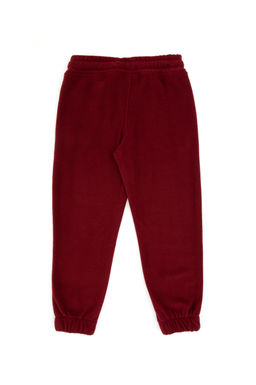 K_z _ocuk Bordo Jogger Polarl_ E_ofman Alt_ - U.s. polo assn фото 3