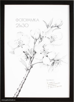 Фоторамка 21х30 с акриловым стеклом/ 1504А-012С /уп10 ф - ГалеонТрейд фото 2