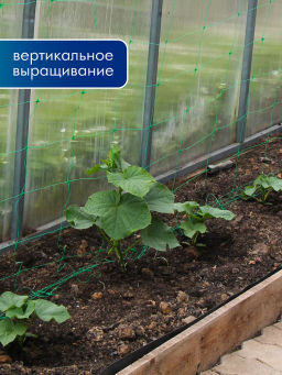 Цена за 2 шт. Сетка шпалерная для огурцов 2*5м Ф-190/2/5 (Лесной зеленый) - Протэкт-регион фото 5