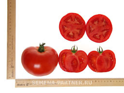 Томат Момбаса - Партнер фото 7