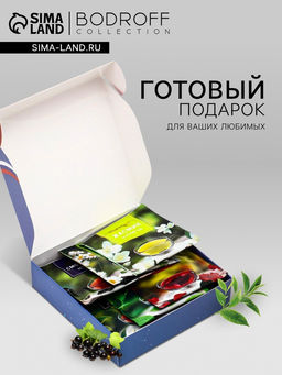 Чай подарочный С днем защитника Отечества, 12 пакетиков