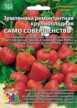 Земляника САМО СОВЕРШЕНСТВО® ягоды сладкие без кислинки, сочные, нежные, крайне ароматные!