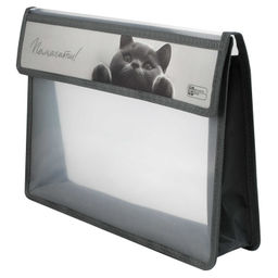 Папка для школьных тетрадей пластиковая Феникс+, арт. 73700/ 12 БРИТАНСКИЙ КОТ (полипропилен, формат