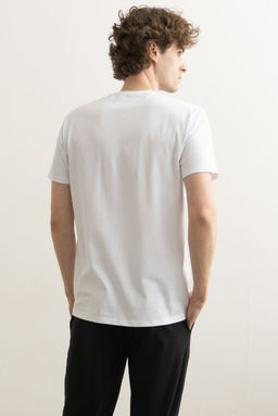 ФУТБОЛКА МУЖСКАЯ арт. 1900M-20096.1H-921