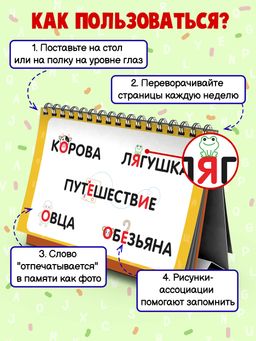 Визуальный словарь для детей. Серия Настольные запоминалки арт. 57907/ 5 СЛОВАРНЫЕ СЛОВА - Феникс+ фото 3
