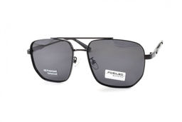 POMILED POLARIZED 08242 C2-08 57-16-134