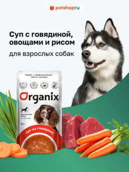 Суп для взрослых собак Organix, с говядиной, овощами и рисом 53зд04