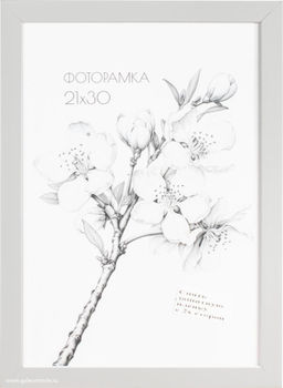 Фоторамка 21х30 с акриловым стеклом / 2004A-012AL /уп10