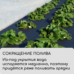 Материал мульчирующий, 10×0.8 м, плотность 80 г/м², спанбонд с УФ-стабилизатором, чёрный, Greengo, Эконом 30%