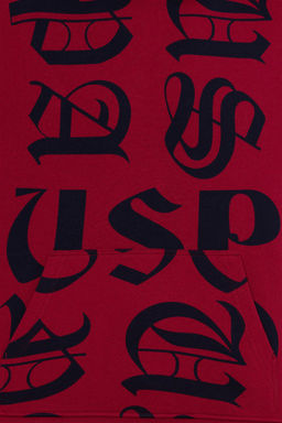 Мужская толстовка с капюшоном Cherry - U.s. polo assn фото 12
