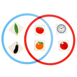 Развивающий набор Пересечение множеств - Iq-zabiaka фото 2