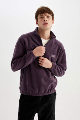 Флисовый свитшот с принтом и воротником-стойкой Comfort Regular Fit - Defacto фото 4