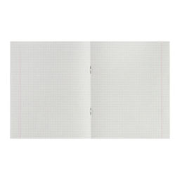 Комплект тетрадей из 5 шт (4 разные + 1 повторяющаяся МИКС), 36 листов, клетка, Океан, обложка мелованная бумага, блок №2, белизна 75% (серые листы) - Calligrata фото 3